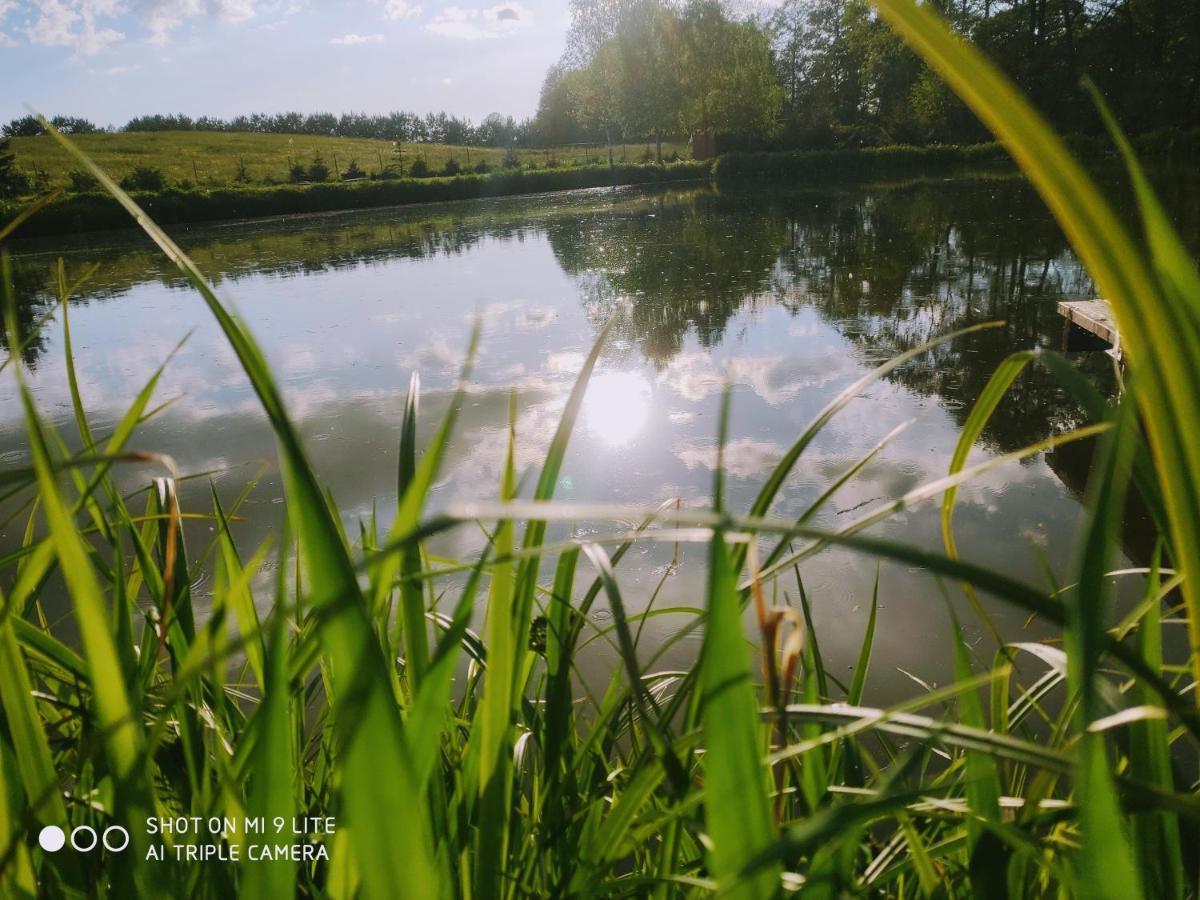 Wczasy Mazurskie - Domek Caloroczny Bez Mazury Moldzie 外观 照片